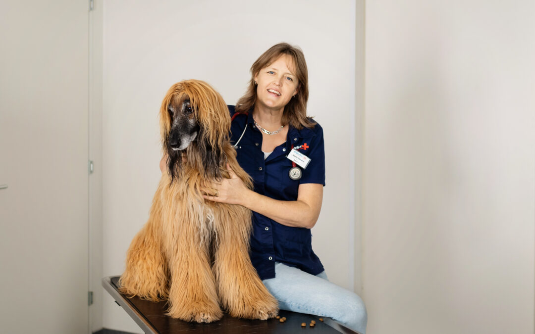 Hanny DijkstraDierenkliniek Dijkstra